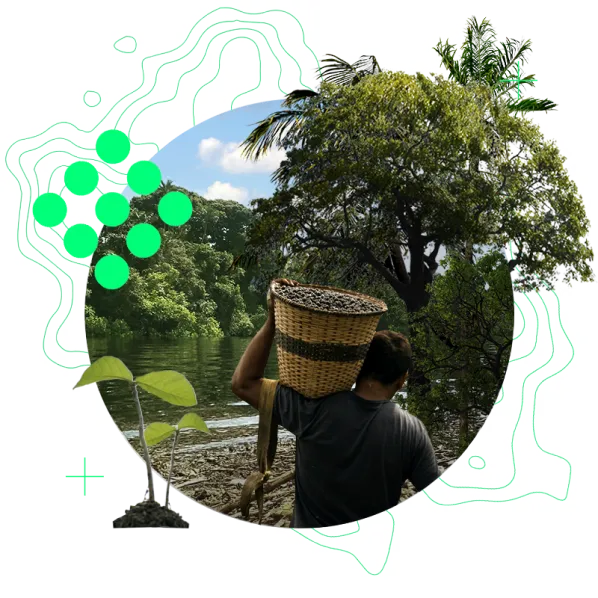Community member in a forest landscape representing Nature-based Solutions